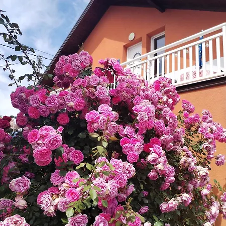 Sanlej Tuzla